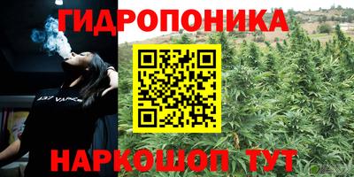эйфоретик Комсомольск-на-Амуре