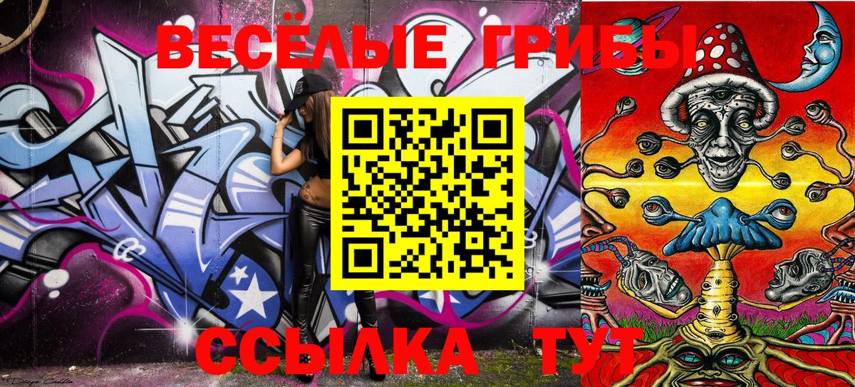 Псилоцибиновые грибы Psilocybe Ишим