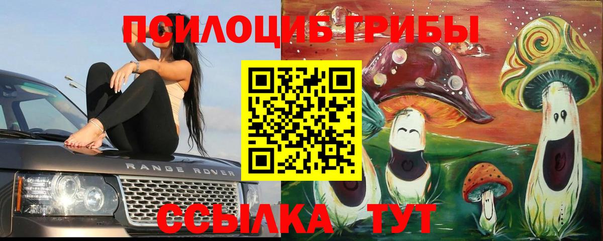 Галлюциногенные грибы Cubensis  Вход с VPN  Ишим  Галлюциногенные грибы Cubensis 